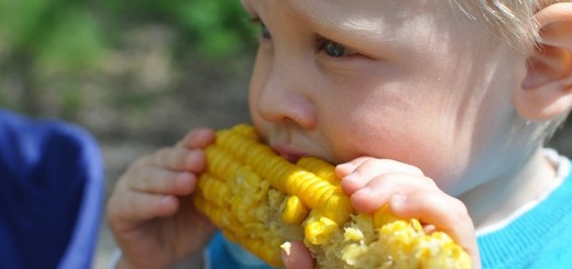 Hay ciertos mitos sobre la alimentación que siguen muchos padres