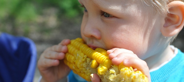 Hay ciertos mitos sobre la alimentación que siguen muchos padres